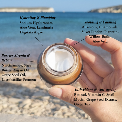 Nature Garden • Inflamm-Aging Night Cream