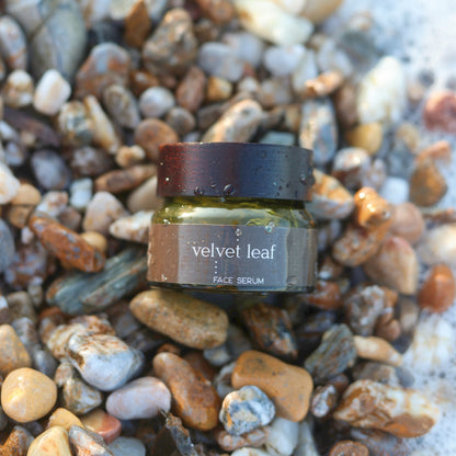 Velvet Leaf • Essential Hydrating Serum